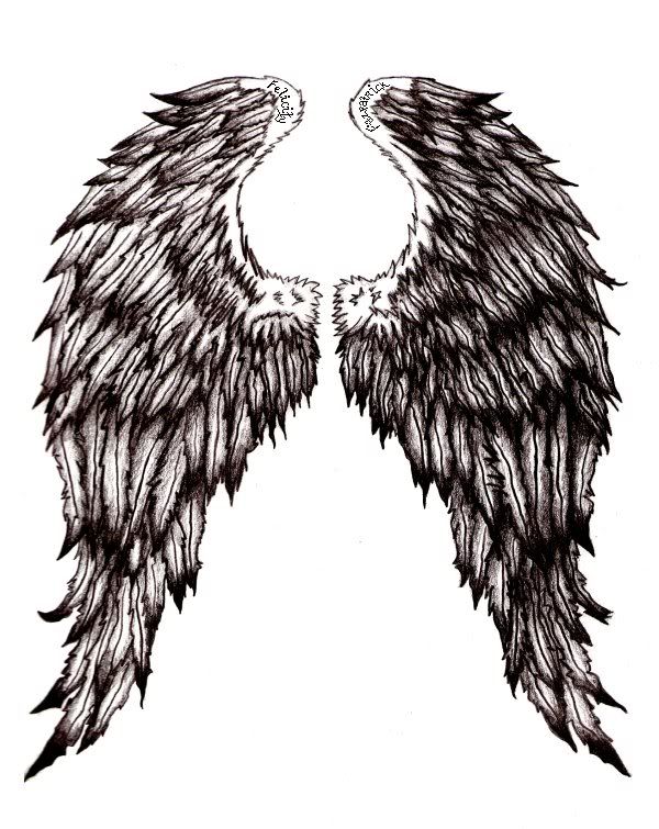 picture angel wings