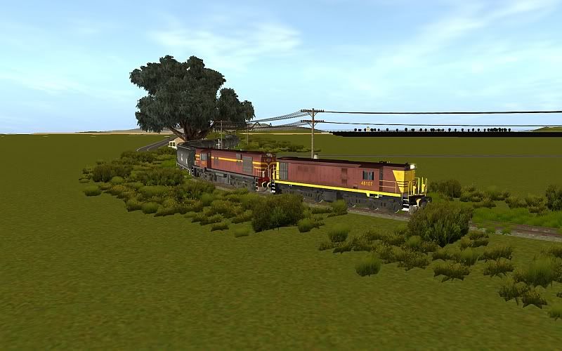 GrainNSW7.jpg