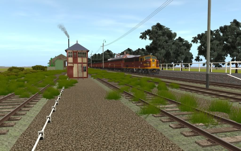NSW1.jpg