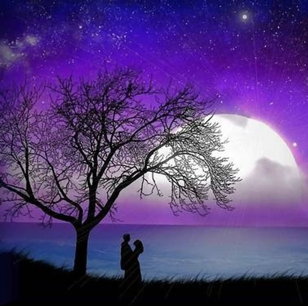 Free Download Aeon Cobra 220 Repair Manual Programs Like Photoshop