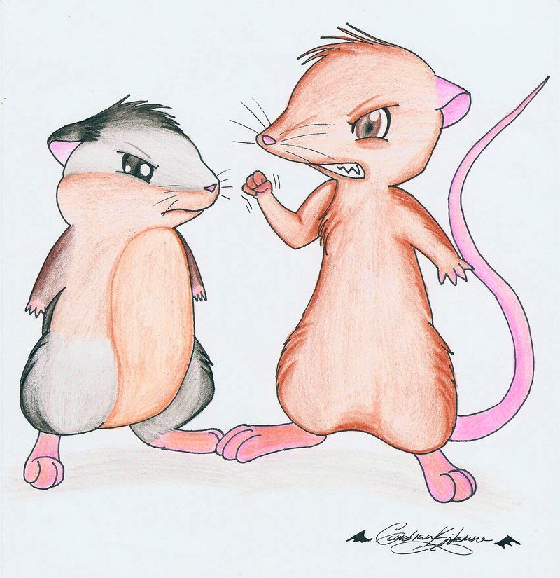 rats_vs_hamsters_by_guardiankitsune.jpg