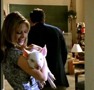 Buffy,vampire,slayer,pack,piglet,herbert,cute