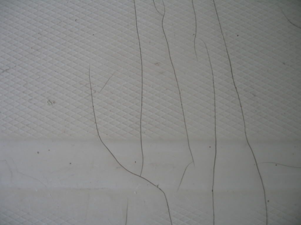 Alb24ExpressFloorCracks003.jpg