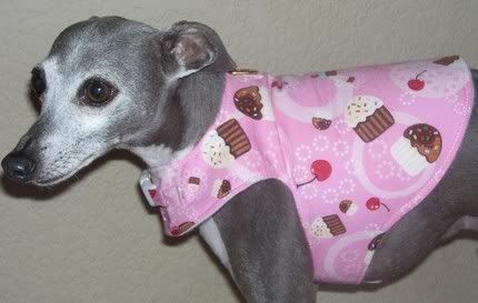 Cupcakes Harness for Dogs