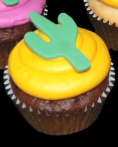 Double Chocolate Sourcream and White Sour Cream Cupcakes with   American buttercream icing & topped with a Fondant Cactus