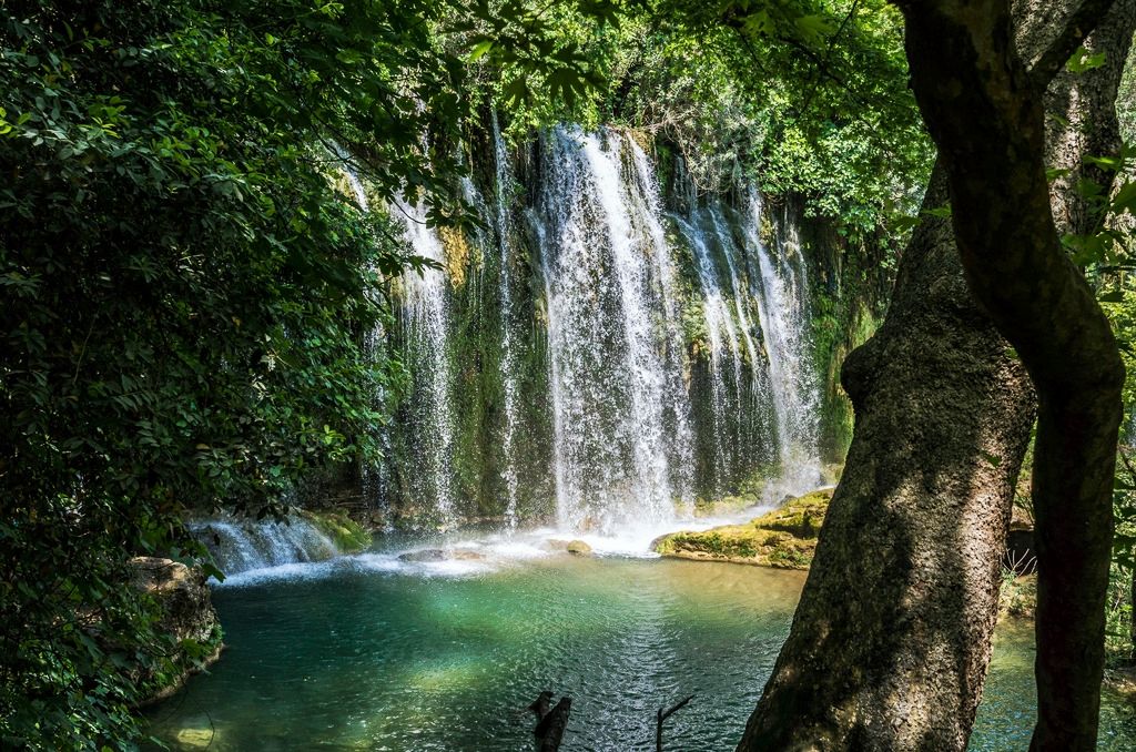 aeececdb-cbf4-40f8-b770-bb3bb152a311_zps