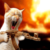 angry cat photo: Angry Cat AngryCat.gif