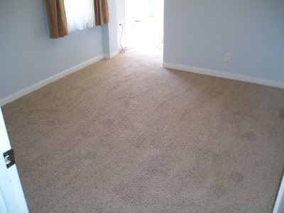 New Carpet 1