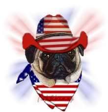pug in red white and blue