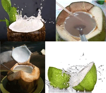 water coconut benefits