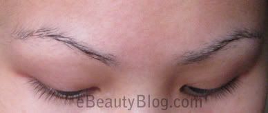 Eyebrow Growth