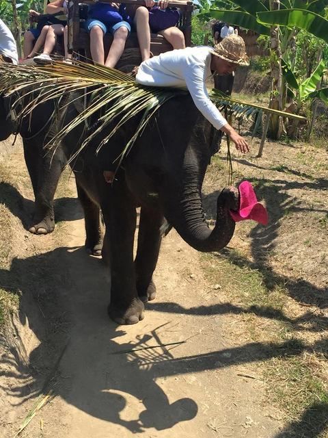  photo bali 2.jpg