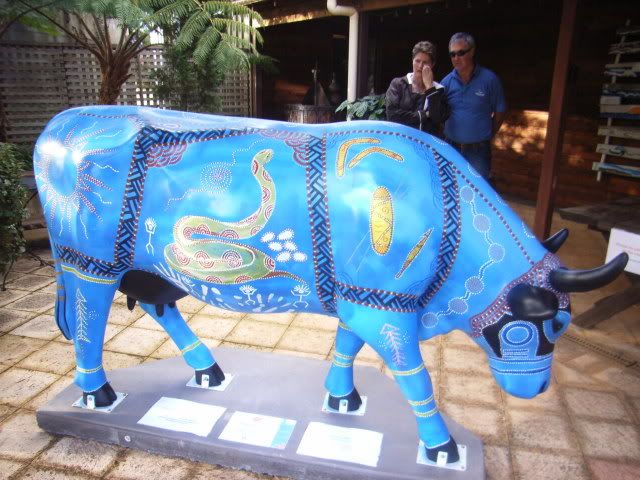 Carta Warra Cow photo RIMG0026-3.jpg