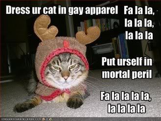  photo ChristmasCat.jpg