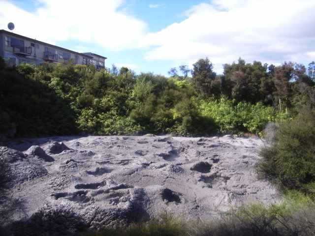  photo RIMG0279.jpg