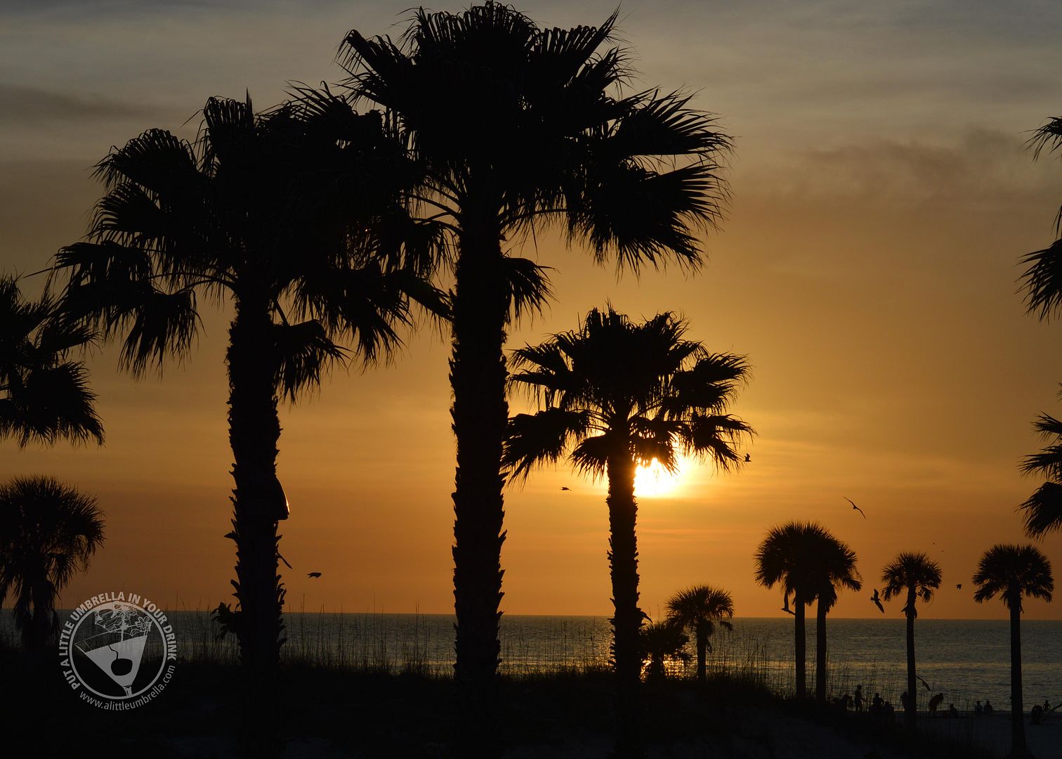 florida-sunset