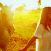 Sunshine and Horse Avatar Pictures, Images and Photos