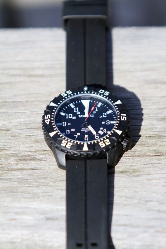 FS Tawatec E.O. Diver Custom lumed bezel. WatchUSeek Watch Forums