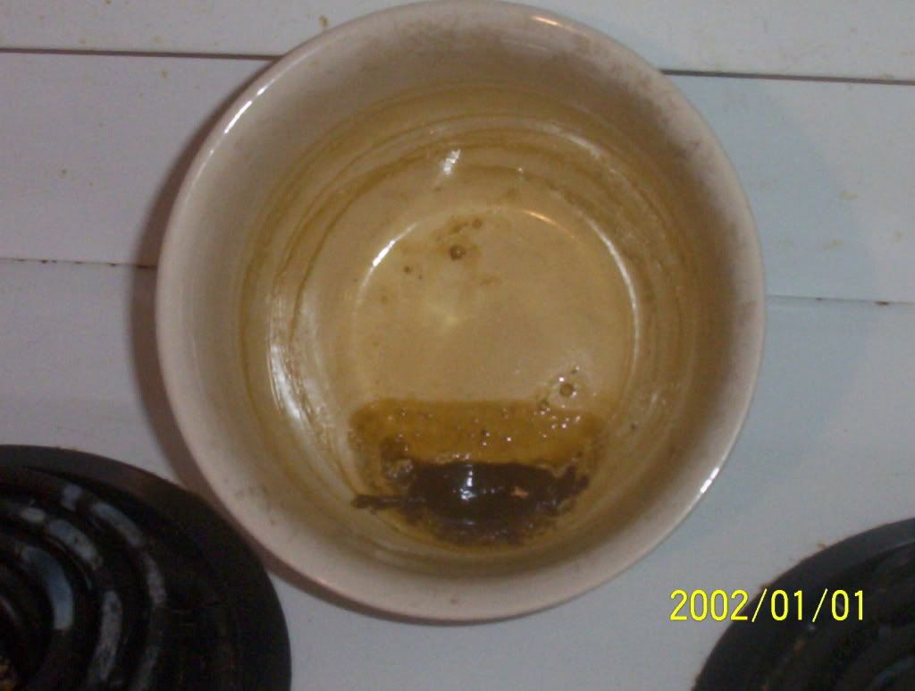 DIY Honey Oil/Honey Oil Extractor A.K.A. BHO Rollitup