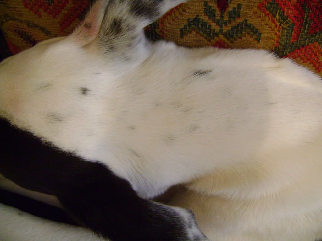 DSC00572.jpg