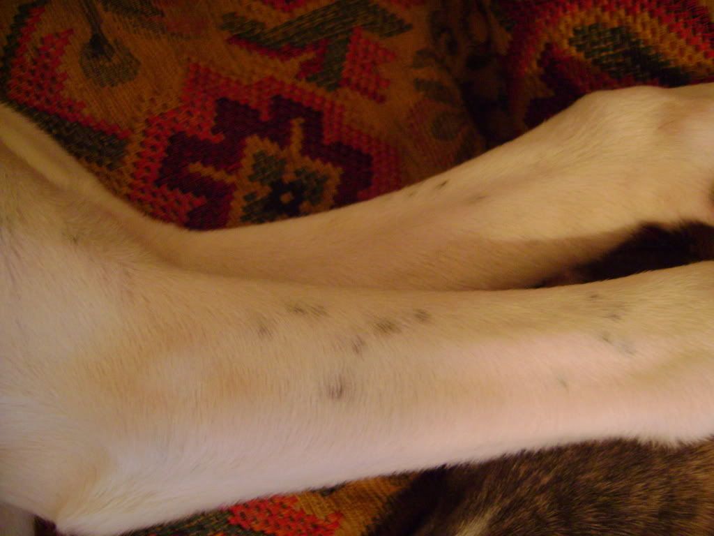 DSC00655.jpg