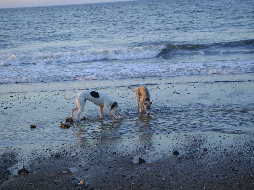 DSC01100.jpg