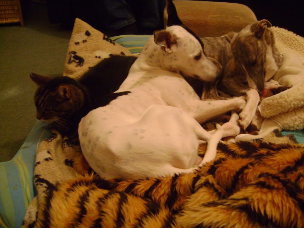 DSC01539.jpg