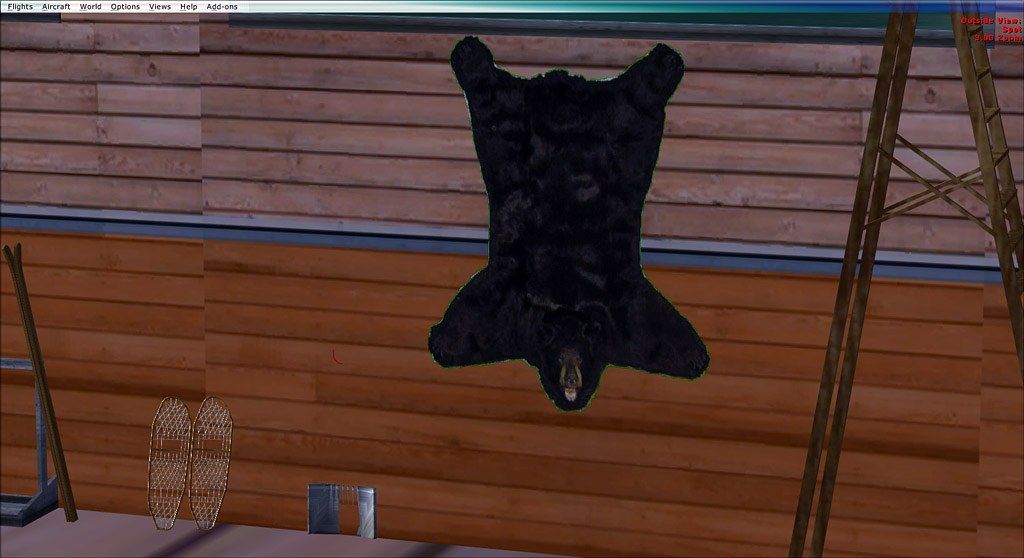 Bear.jpg