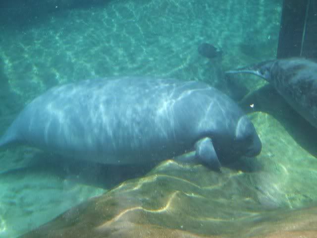 k20.jpg