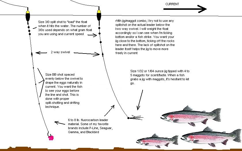 Steelhead Setup Ohio Game Fishing Your Ohio Fishing Resource