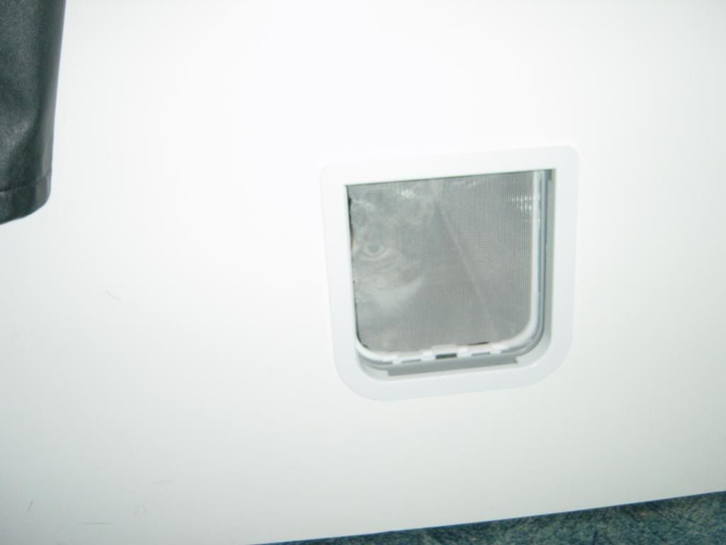 DSC09168_zps47f60773.jpg