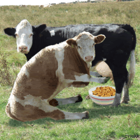 34_zps60336395.gif