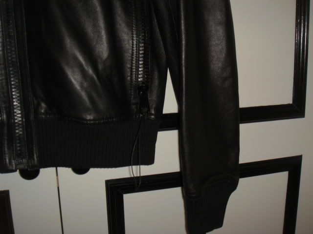 DSC02579.jpg