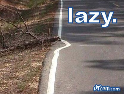 lazyroad.jpg