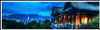 Animated100x30