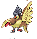 Pidgeoan.png