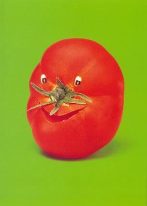 tomato Pictures, Images and Photos