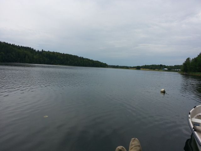 20130808_120009_zps7a1b97e7.jpg