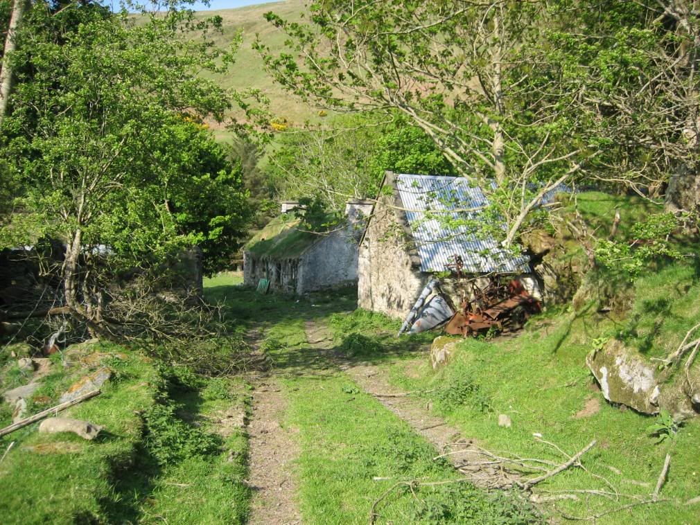 dublin035.jpg Thomas' grandfather's old cottage and barns image by brookejohnson218