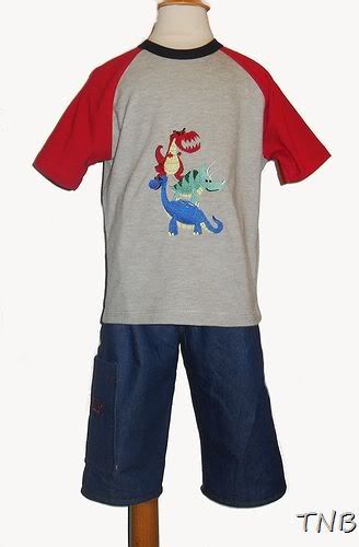Dinosaurs ROAR~TNB Boys Outfit~Size 5/6