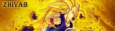 Imagen Enviada