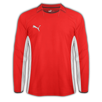 puma1.png