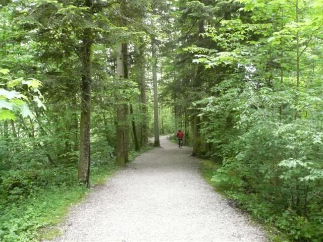 Forrest Cycling