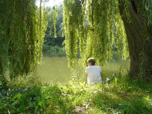 The River in Colmar