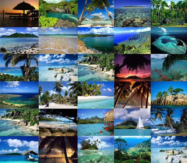 tropical collage