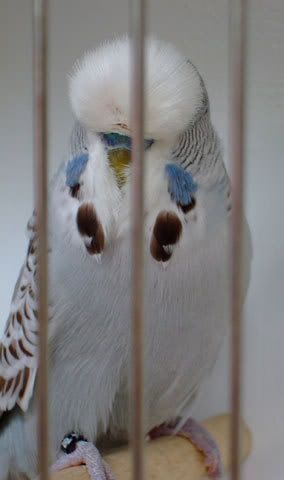 DSCF4049.jpg