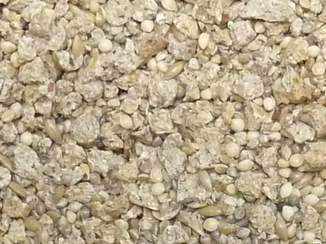 seedandpellets.jpg