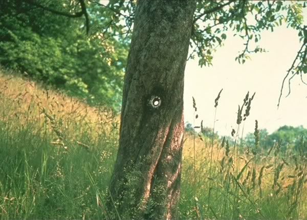 hole-entry.jpg