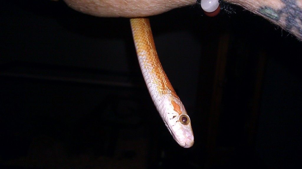 IMAG0378.jpg