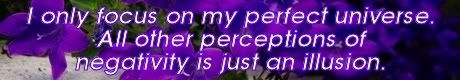 i focus on my perfect universe. all other perceptions of negativity is just an illusion.. Mike Ludens Law of Attraction Creations